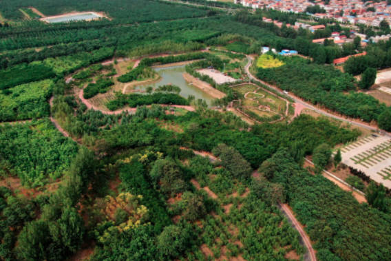 兰考县属于哪个市，河南省开封市（兰考为什么这么出名）
