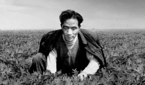 兰考县属于哪个市，河南省开封市（兰考为什么这么出名）