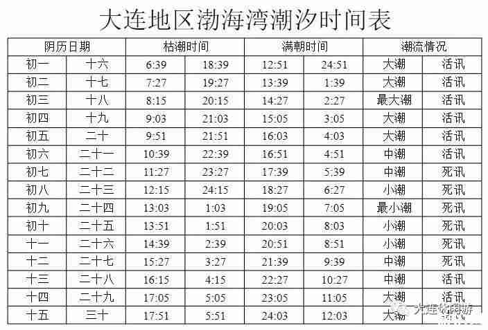 2020年大连赶海时间表 地点-时间 2020年大连赶海时间表 地点-时间