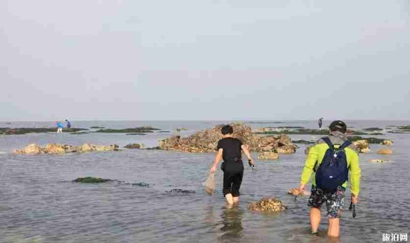2020年大连赶海时间表 地点-时间 2020年大连赶海时间表 地点-时间
