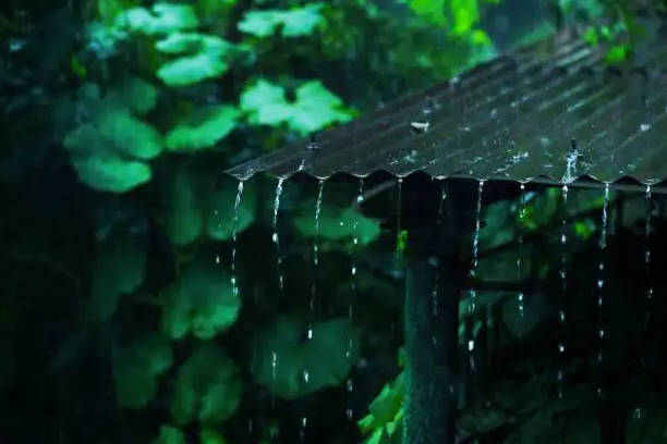 梅雨季节是几月份到几月份结束，浙江/上海/江苏/安徽入梅时间