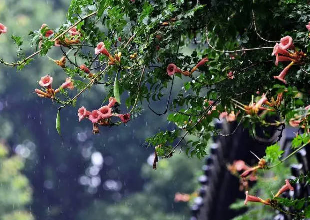 梅雨季节是几月份到几月份结束，浙江/上海/江苏/安徽入梅时间