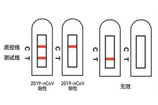 抗原检测是什么意思，抗原自测自检步骤（附与核酸检测区别）