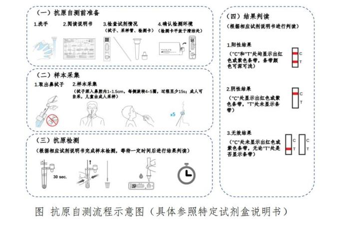抗原检测是什么意思，抗原自测自检步骤（附与核酸检测区别）