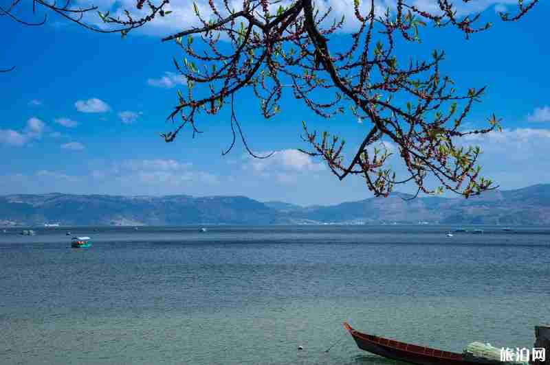 2020云南抚仙湖旅游攻略 2020云南抚仙湖旅游攻略