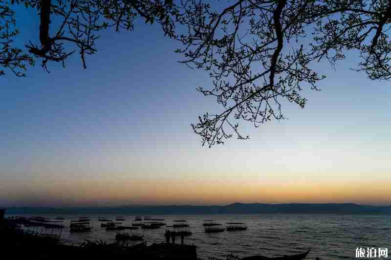 2020云南抚仙湖旅游攻略 2020云南抚仙湖旅游攻略