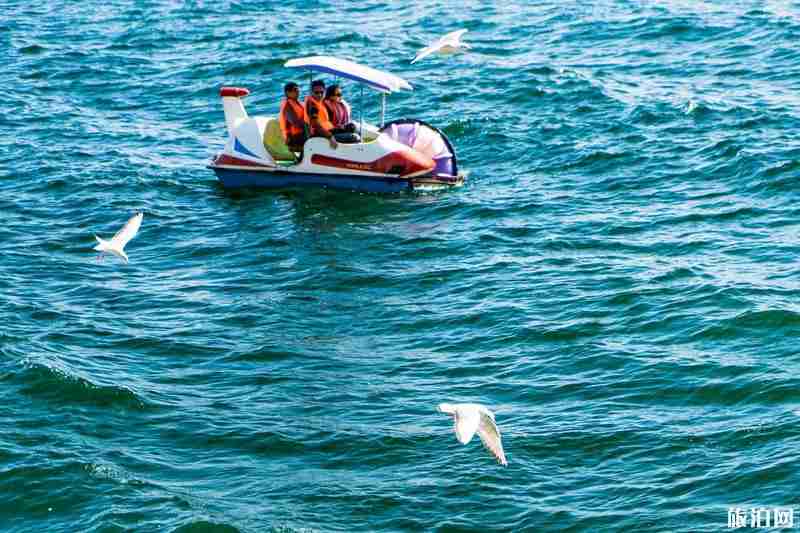 2020云南抚仙湖旅游攻略 2020云南抚仙湖旅游攻略