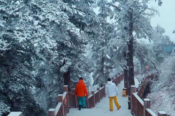 冬天四川适合去哪里旅游 2020四川下雪的地方景点