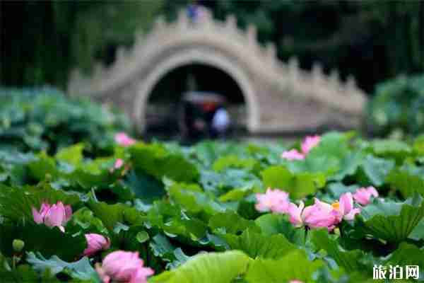 圆明园遗址公园年-月票怎么办理 2020什么时候可以办理