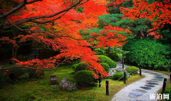 2018北京红叶最佳观赏景点地址+门票+交通+停车信息