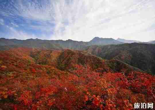 2018王屋山风景区好玩吗 王屋山红叶红了吗