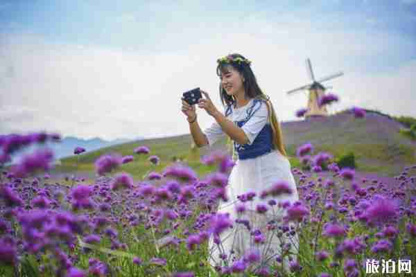 2019成都夏天赏花的地方+门票+交通