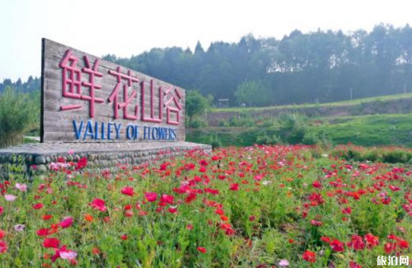 2019成都夏天赏花的地方+门票+交通