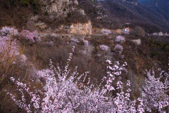 2021焦作云台山门票多少钱 云台山现在门票价格是多少 焦作云台山门票多少钱 云台山现在门票价格是多少