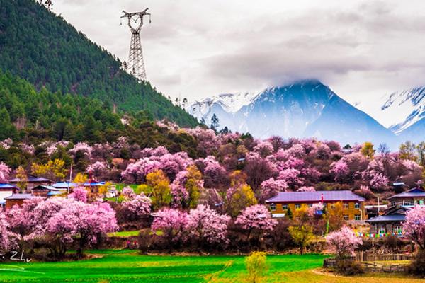 2021林芝桃花什么时候开的最好 林芝有什么好玩的景点 林芝桃花什么时候开的最好 林芝有什么好玩的景点