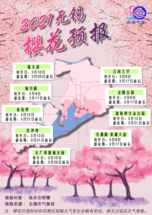 2021无锡樱花花期预报 无锡樱花什么时候开花 无锡樱花花期预报 无锡樱花什么时候开花