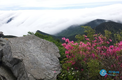 庐山五老峰怎么去 庐山五老峰图片 庐山五老峰怎么去 庐山五老峰图片