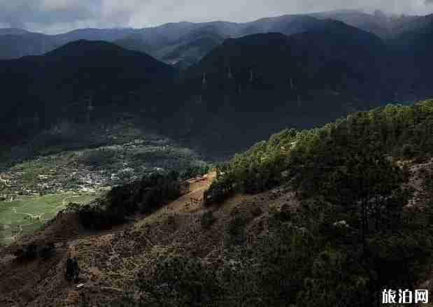 虎跳峡徒步攻略2020 虎跳峡徒步攻略2020