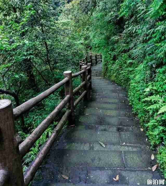 峨眉山旅游攻略详细版 峨眉山徒步爬山路线图 峨眉山旅游攻略详细版 峨眉山徒步爬山路线图