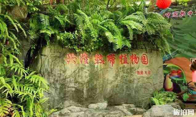 高考后去哪里旅游推荐 高考后旅游攻略+景点推荐 高考后去哪里旅游推荐 高考后旅游攻略+景点推荐
