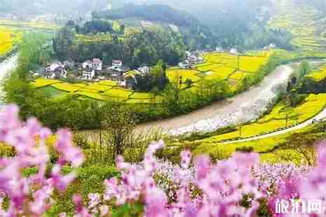 2019汉中油菜花节最新观花公交路线