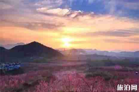 2019肥城桃花节 最佳观赏点+赏花攻略