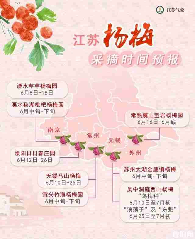 江苏杨梅采摘园推荐 附最佳采摘时间 江苏杨梅采摘园推荐 附最佳采摘时间