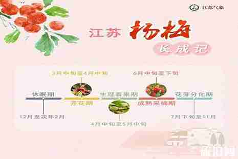 江苏杨梅采摘园推荐 附最佳采摘时间 江苏杨梅采摘园推荐 附最佳采摘时间