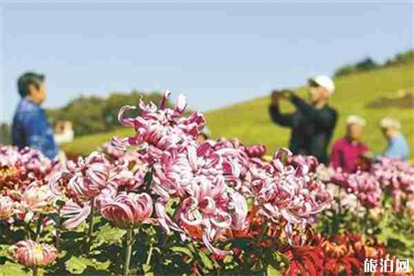 沈阳世博园国庆节活动+菊花展信息+门票优惠内容2019