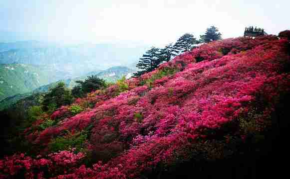 麻城龟峰山门票价格2018+优惠政策 麻城龟峰山门票价格2018+优惠政策