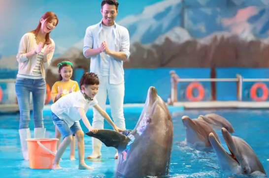 青岛旅游哪里好玩 青岛必去六大旅游景点