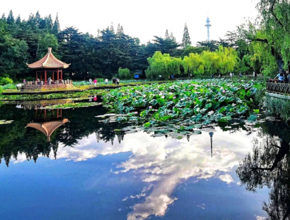 青岛旅游哪里好玩 青岛必去六大旅游景点
