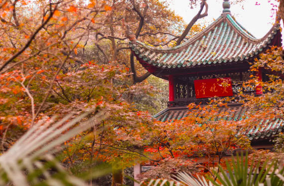 长沙有什么好玩的地方，必去排名前六的旅游景点
