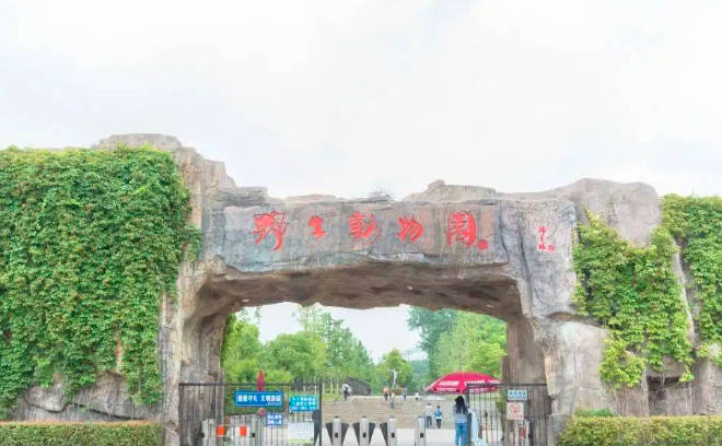 合肥有什么好玩的地方景点推荐，排名前十的必打卡地