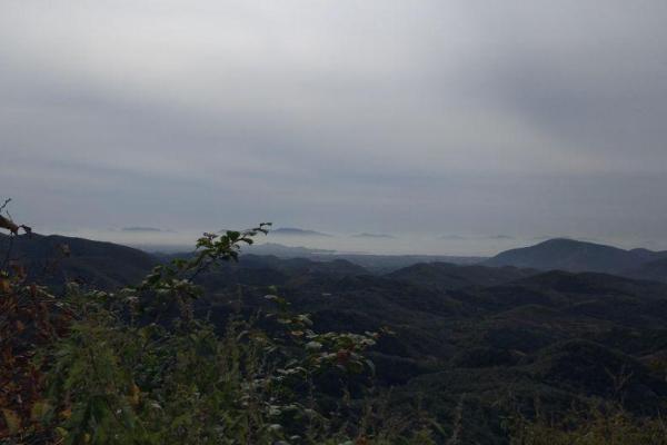 2021九龙山国家森林公园要门票吗-游玩路线推荐
