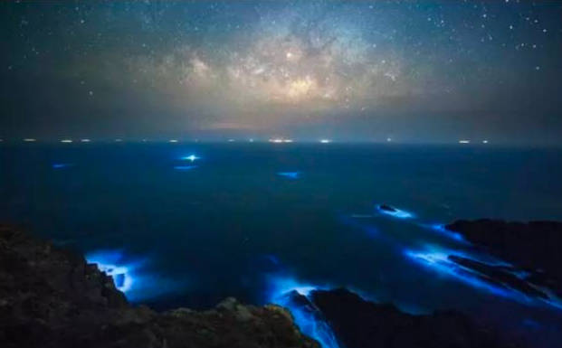 蓝眼泪是怎么形成的，会发出光芒的浮游生物聚集在一起