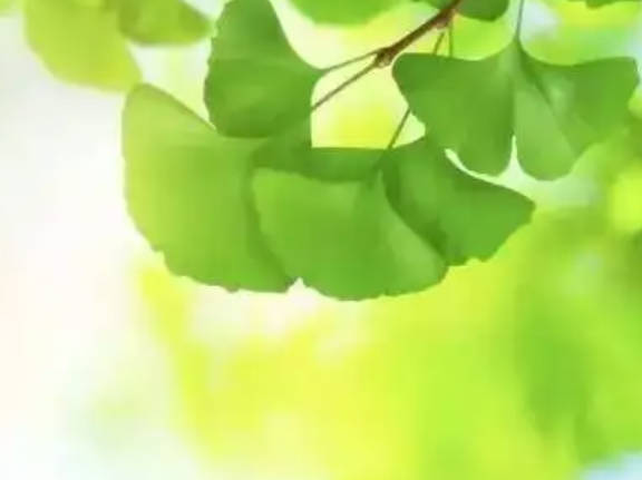入伏是哪一天开始2022，阴历6月十八初伏10天