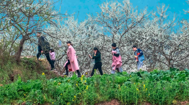 清明节有哪些习俗，忌买鞋，“5个习俗、5个禁忌”要早知道