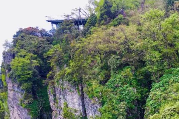 2021汉中龙头山景区门票多少钱-怎么走