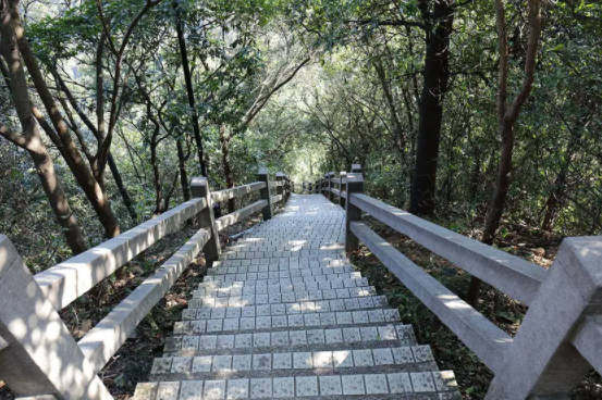 广州白云山怎么去，公交路线指引