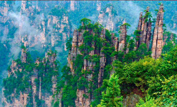 2022张家界旅游注意事项，实用闭坑指南（准备来张家界的小伙伴们一定要看哦）