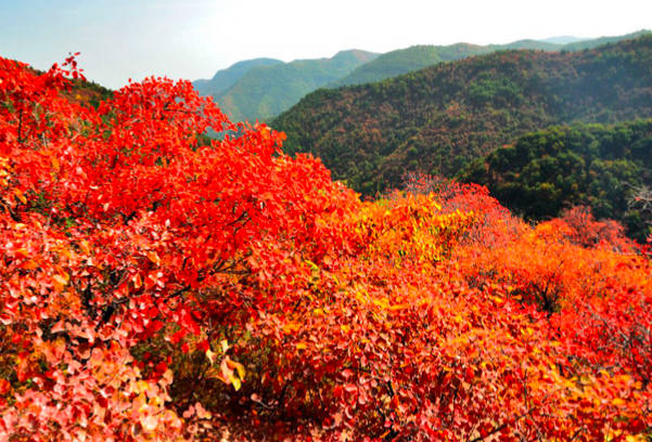 北京有什么好玩的地方，排名前十的旅游景点你去过吗？