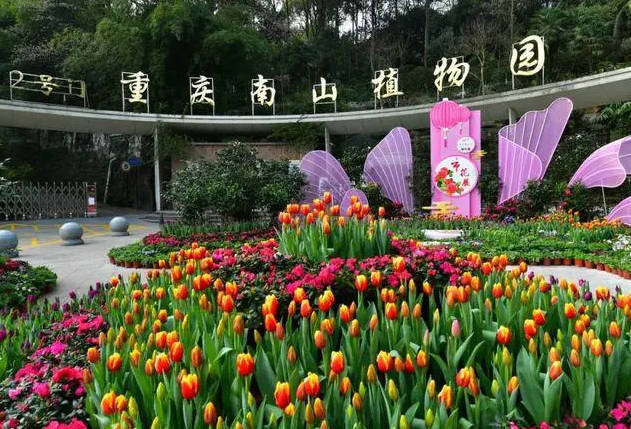重庆周边十大必去景点有哪些