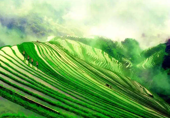 桂林旅游攻略必去景点，十大好玩的地方推荐（网红打卡）