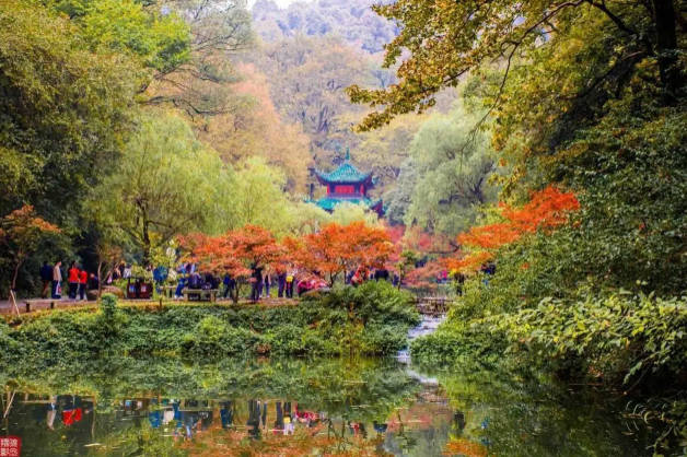 长沙旅游攻略景点必去，长沙必打卡的十大景点
