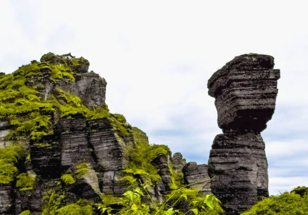贵州旅游十大景点排名，贵州打卡必去景点（黄果树瀑布和梵净山均上榜）