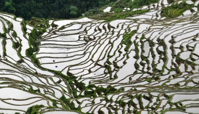 贵州旅游十大景点排名，贵州打卡必去景点（黄果树瀑布和梵净山均上榜）