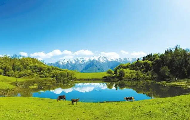 甘南旅游必去景点，甘南十大打卡必玩景点