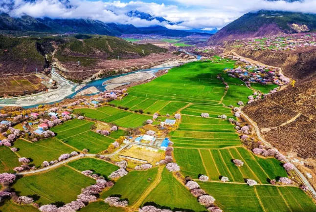 暑假去西藏旅游合适吗，温度和植被都合适（附进藏建议）