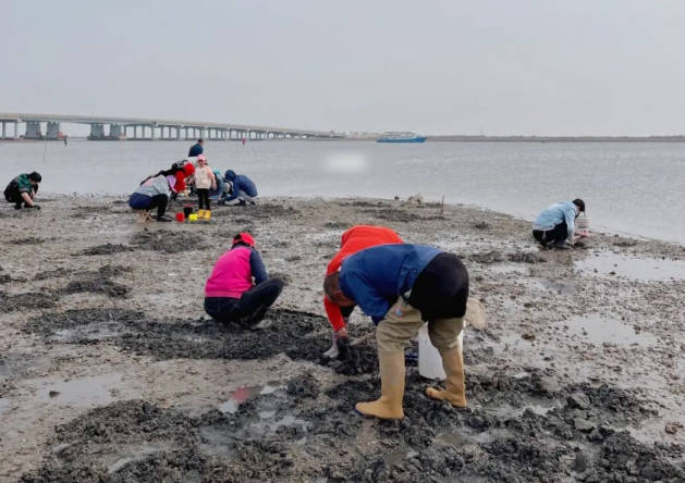 曹妃甸免费最佳赶海地点，青龙湾大桥或溯河大桥下（图文）